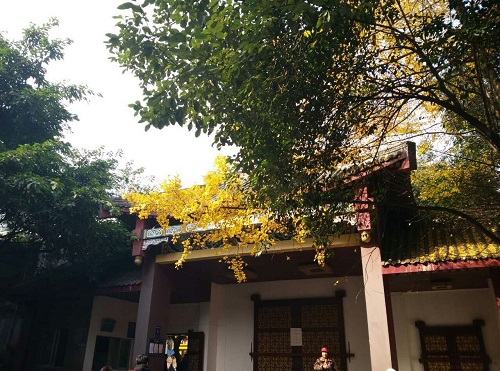 还记得那天阳光下的屋檐吗