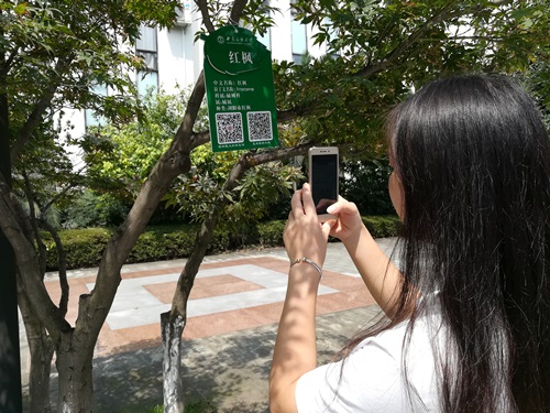 二维码挂牌,一手掌握校园信息