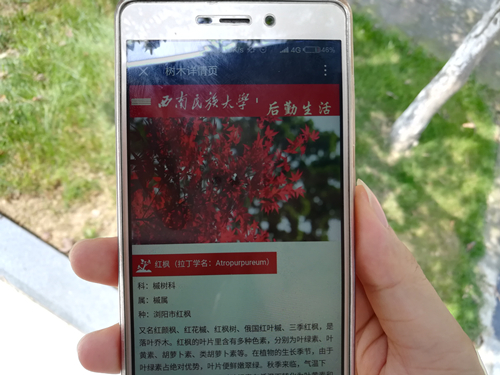 树木二维码扫描信息