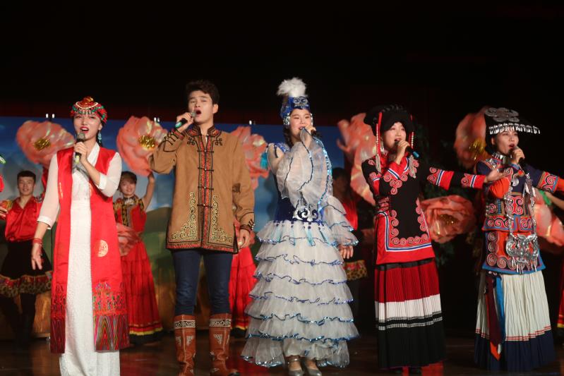 我校大学生的精彩演出