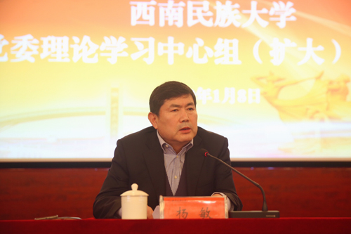 杨敏总结讲话