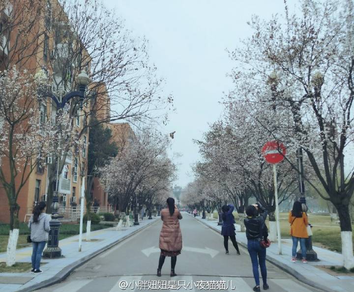 龙惠瑛法学院