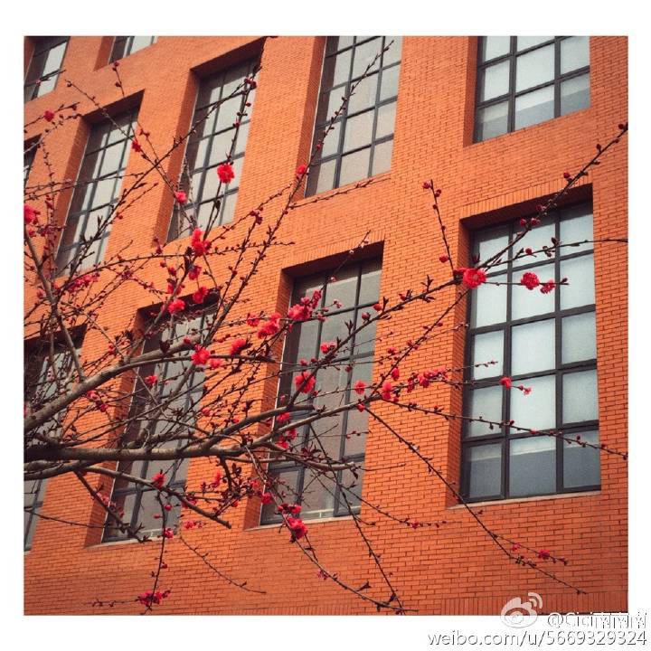 文新学院岑南希