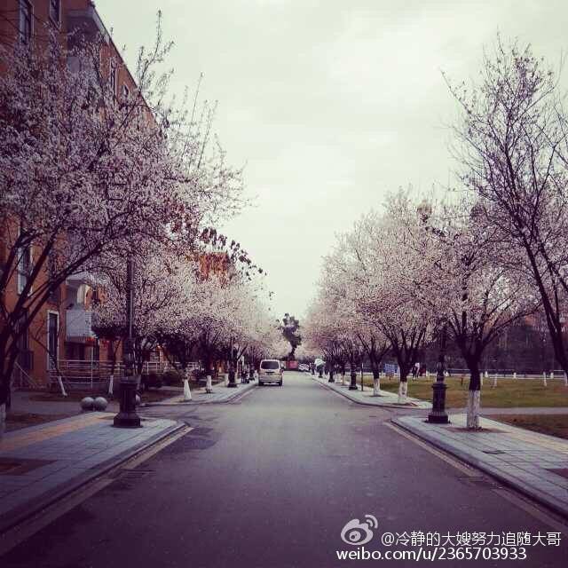 城建学院李丽晨摄