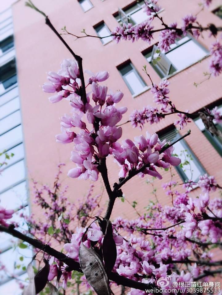 王欢文新学院