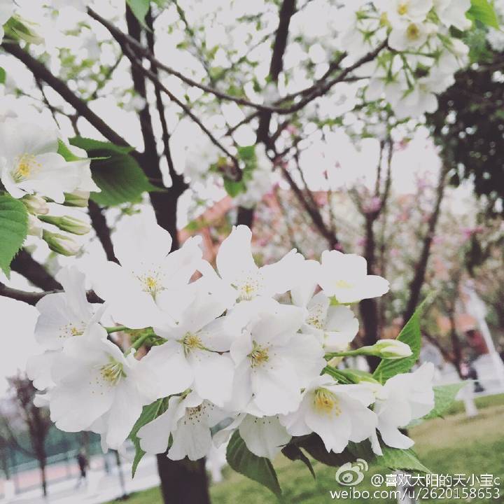韦天琦艺术学院