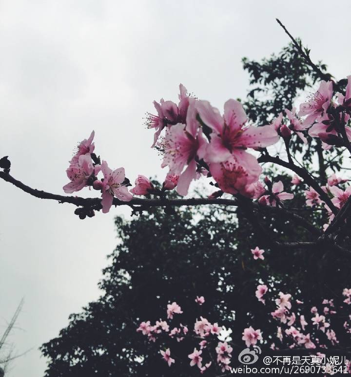 旅历学院陈俊雨