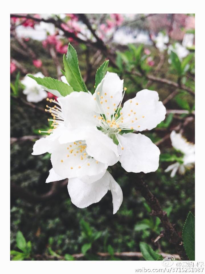 孙爱然生科学院